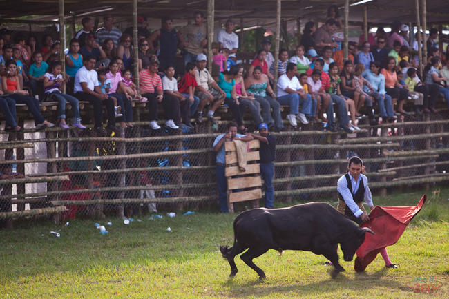 El Torero