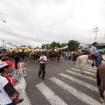 Cabalgatas en Panama